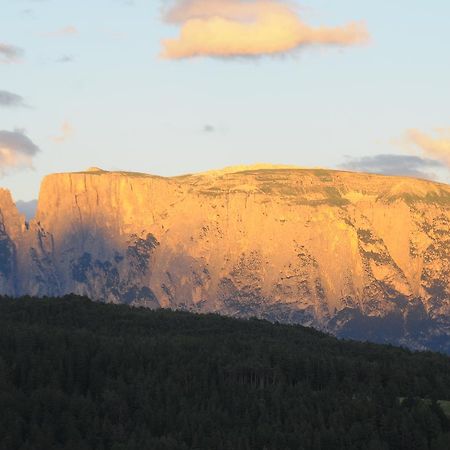 Отель Pension Resy Auna di Sopra Экстерьер фото