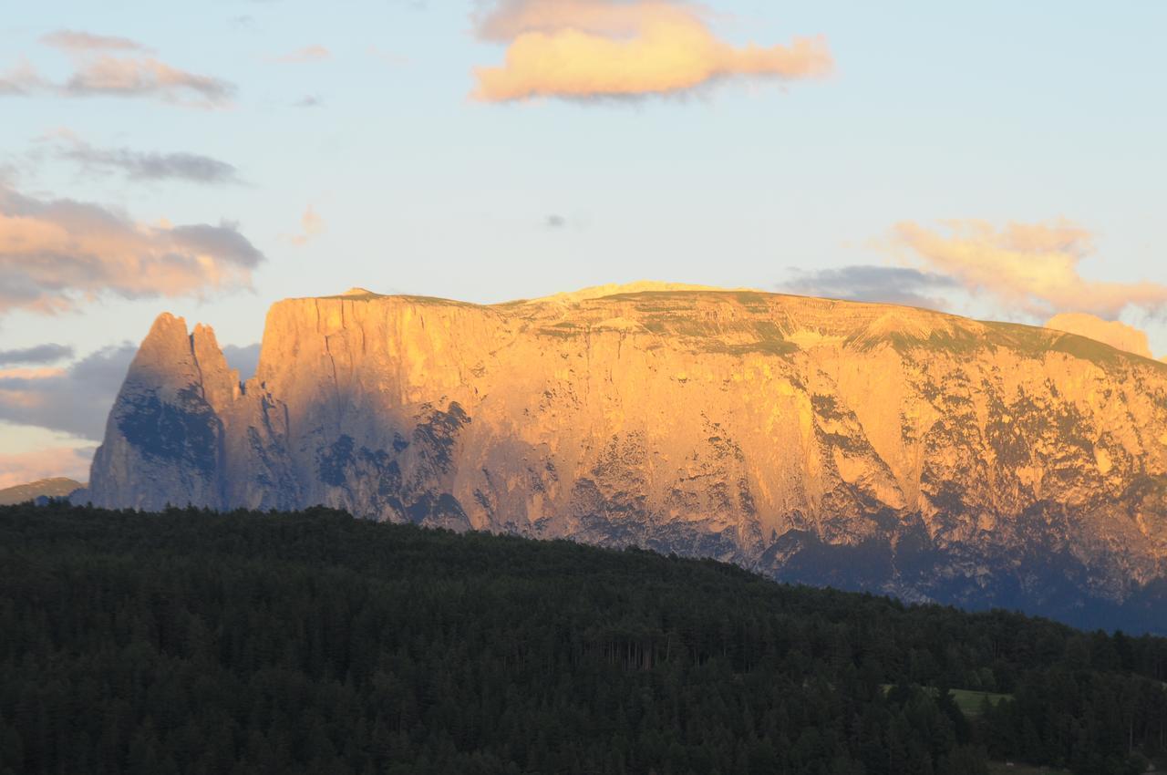 Отель Pension Resy Auna di Sopra Экстерьер фото